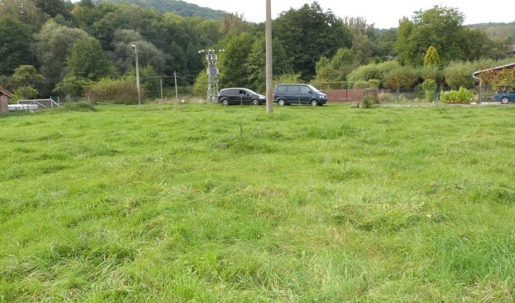 Prodej stavebního pozemku 6 828 m², Malšovice – náhled fotky 5