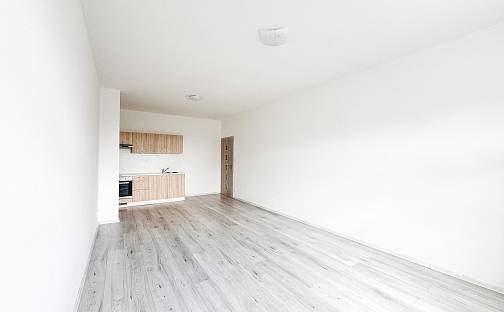 Pronájem bytu 1+kk 37 m², Slepá, Milovice - Mladá, okres Nymburk