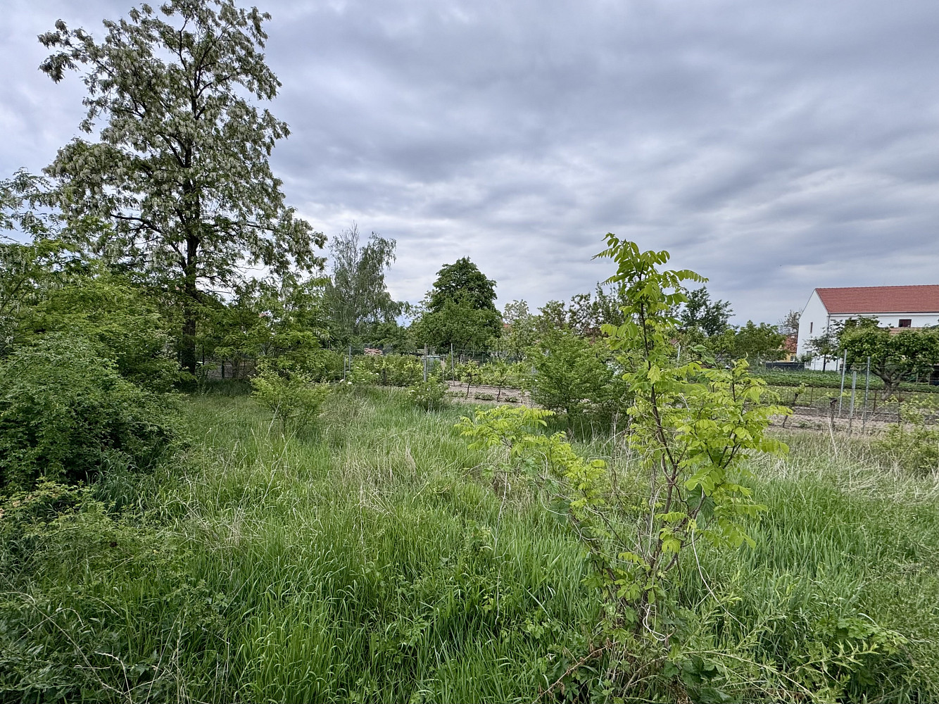 Prodej stavebního pozemku 750 m² – fotografie 3