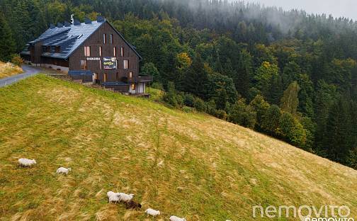 Prodej bytu 3+kk 76 m², Rokytnice nad Jizerou - Horní Rokytnice, okres Semily
