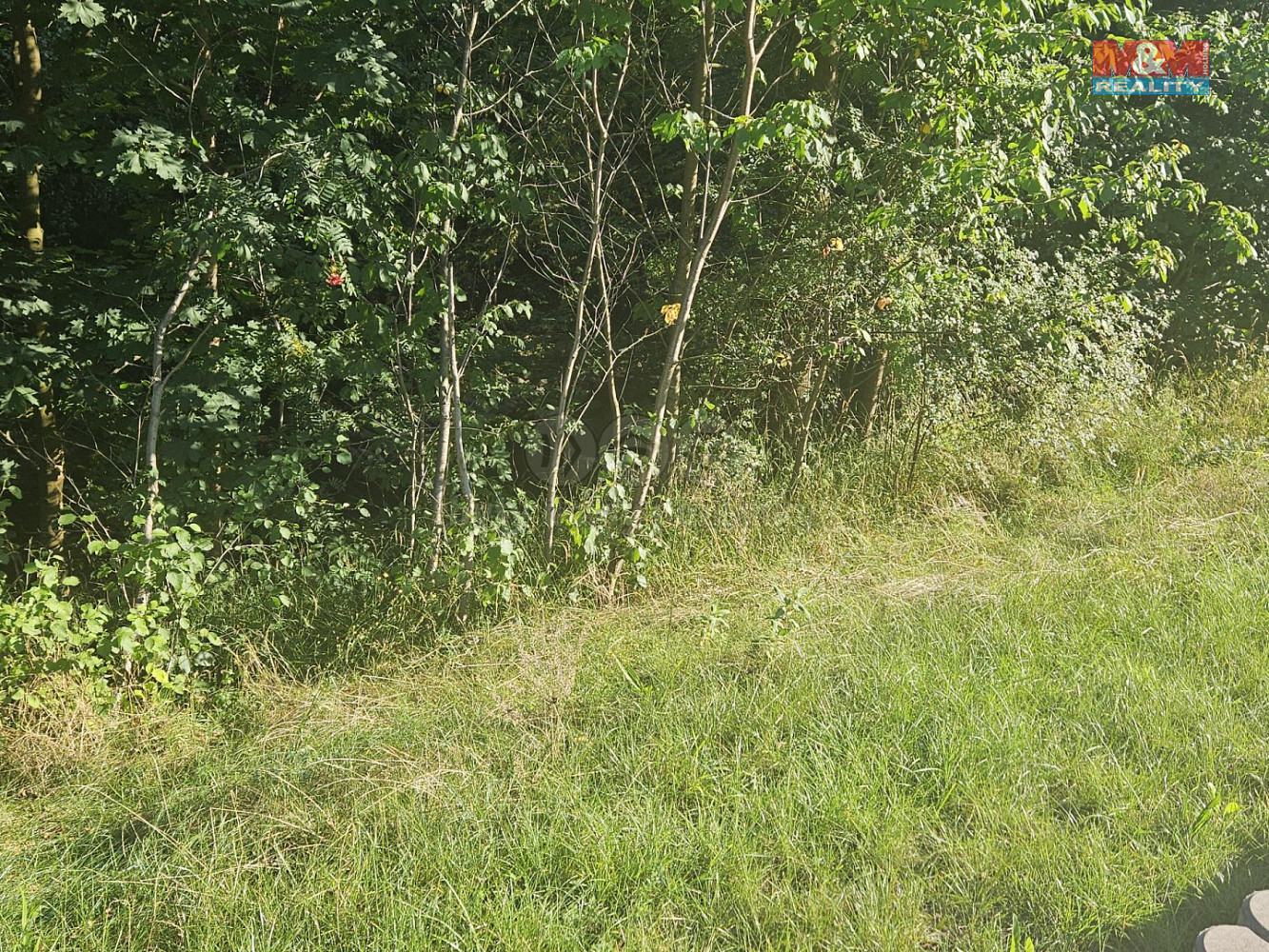 Prodej pole 846 m² — photo 3
