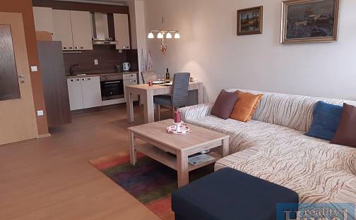 Pronájem bytu 2+kk 62 m², Pelhřimovská, Kamenice nad Lipou, okres Pelhřimov