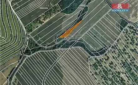 Prodej lesa 1 773 m², Němčany, okres Vyškov