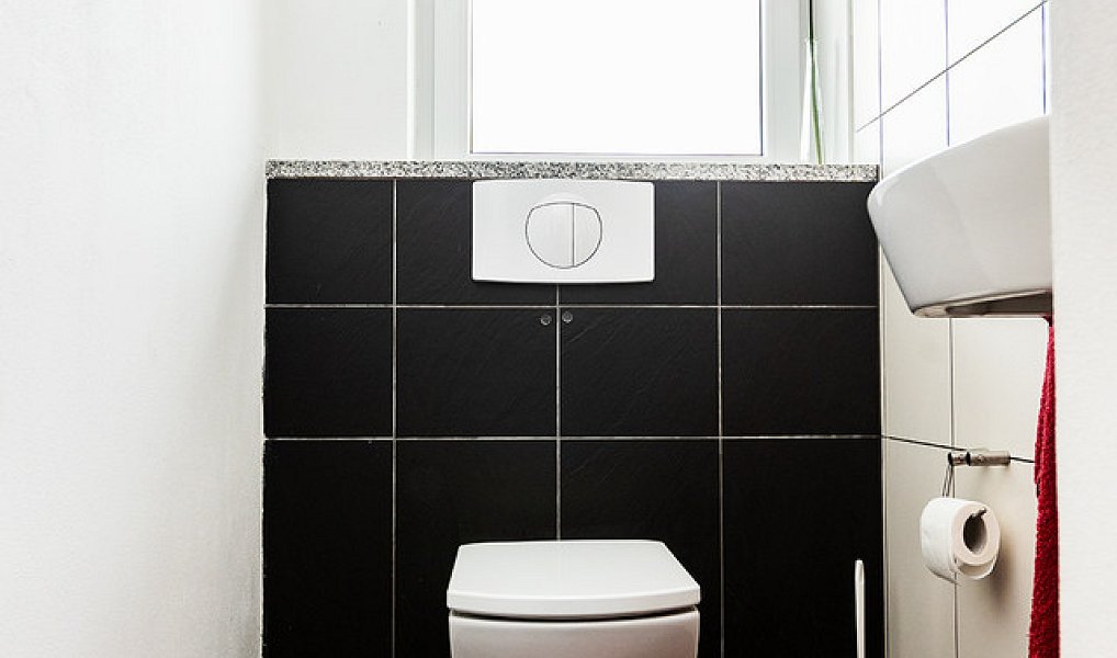 Prodej domu 250 m² s pozemkem 1 048 m², Pomezí nad Ohří – náhled fotky 11