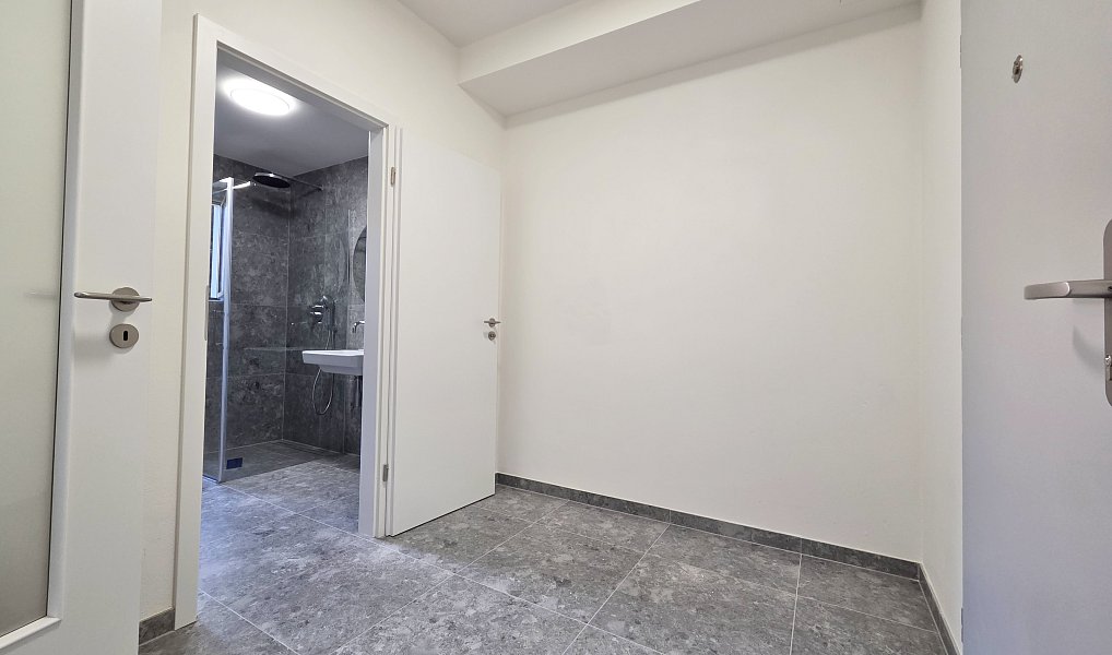 Pronájem bytu 2+kk 50 m², Plzeň – náhled fotky 10