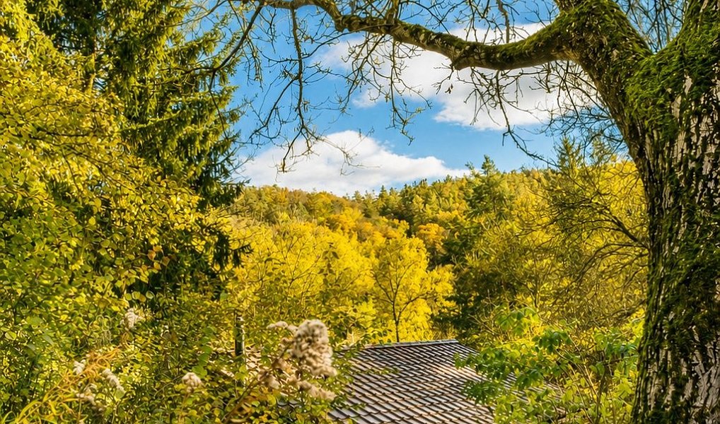 Prodej chaty/chalupy 79 m² s pozemkem 933 m², Heroltice – náhled fotky 8