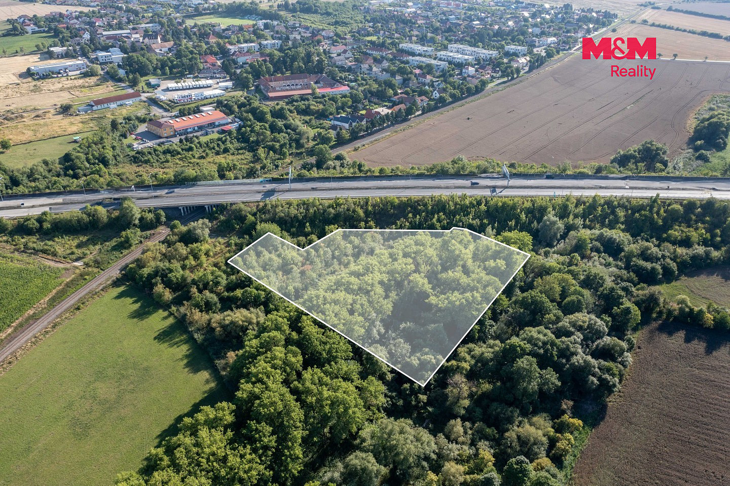 Prodej lesa 8 894 m² – fotografie 3