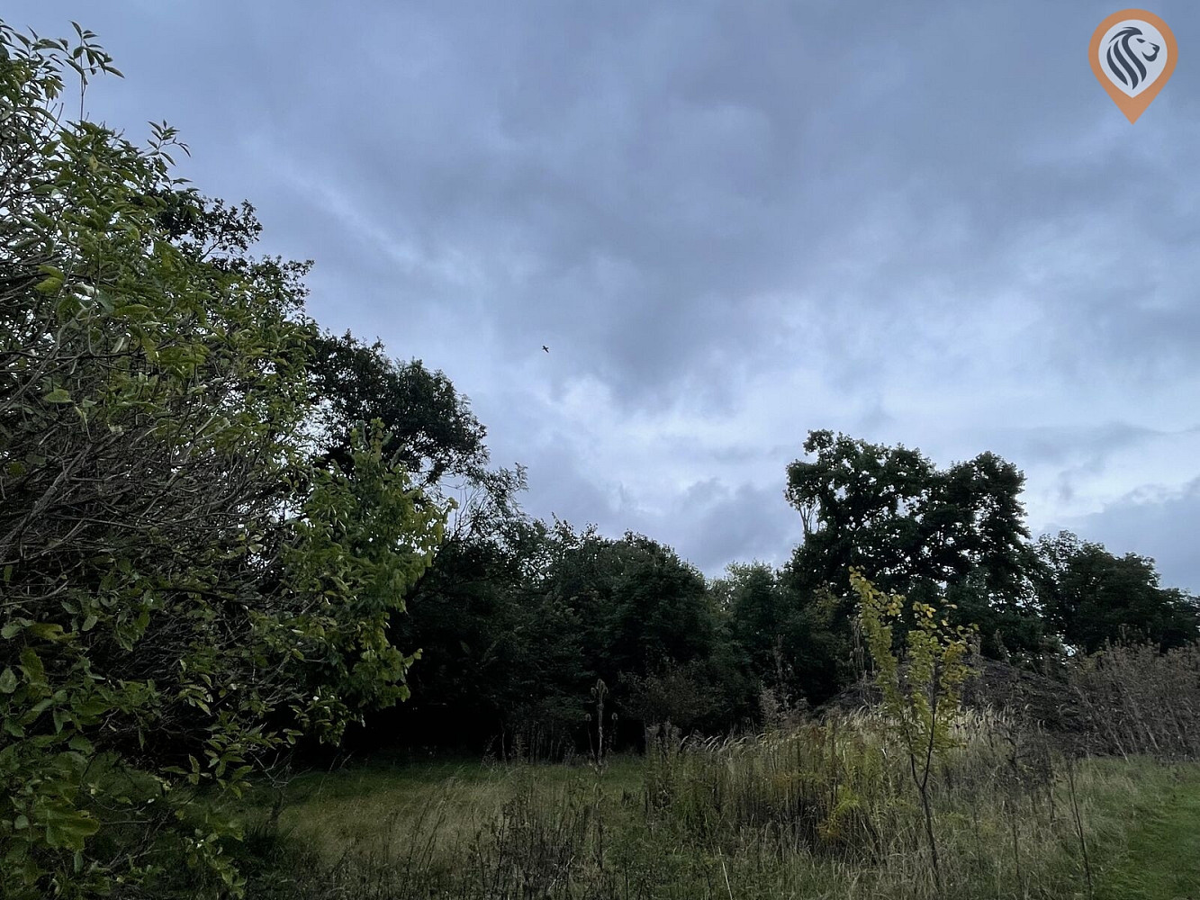 Fotka 11 z 17