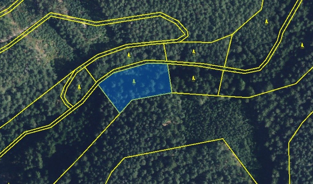 Prodej lesa 5 021 m², Proseč – náhled fotky 2