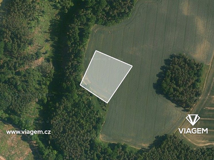 Prodej pole 5 729 m² – fotografie 3