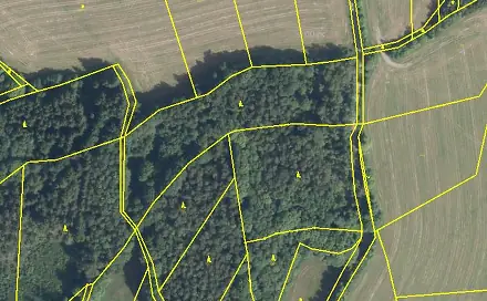 Prodej lesa 18 004 m², Zlatá Olešnice, okres Jablonec nad Nisou