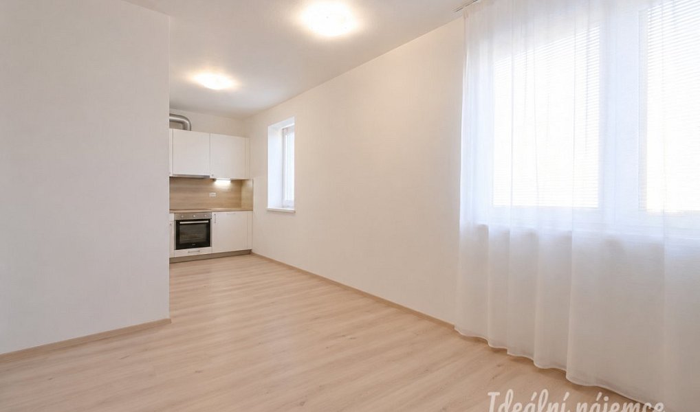 Pronájem bytu 1+kk 40 m², Brno – náhled fotky 4