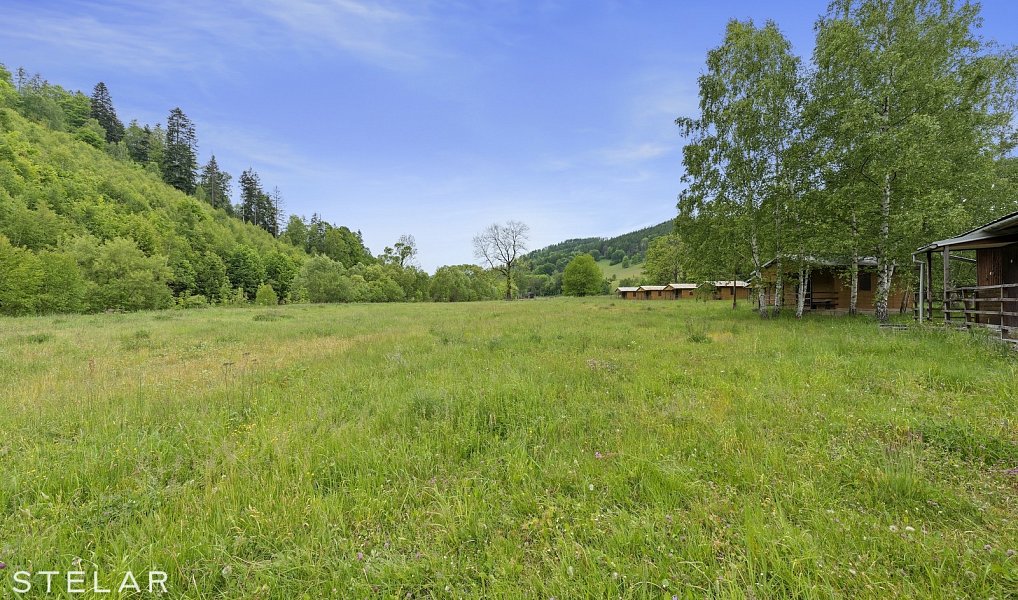 Prodej zahrady 6 661 m², Holčovice – náhled fotky 9