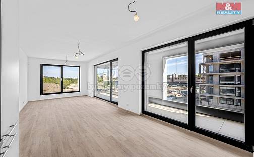 Prodej bytu 3+kk 91 m², Tetauerova, Praha 3 - Žižkov