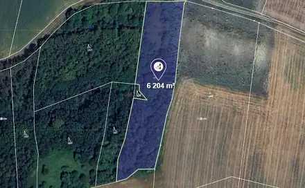 Prodej lesa 6 204 m², Vysoká, okres Mělník