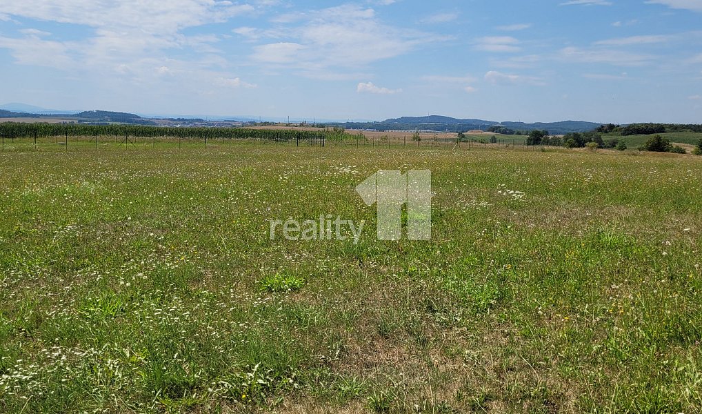 Prodej stavebního pozemku 4 210 m², Čížová – náhled fotky 2