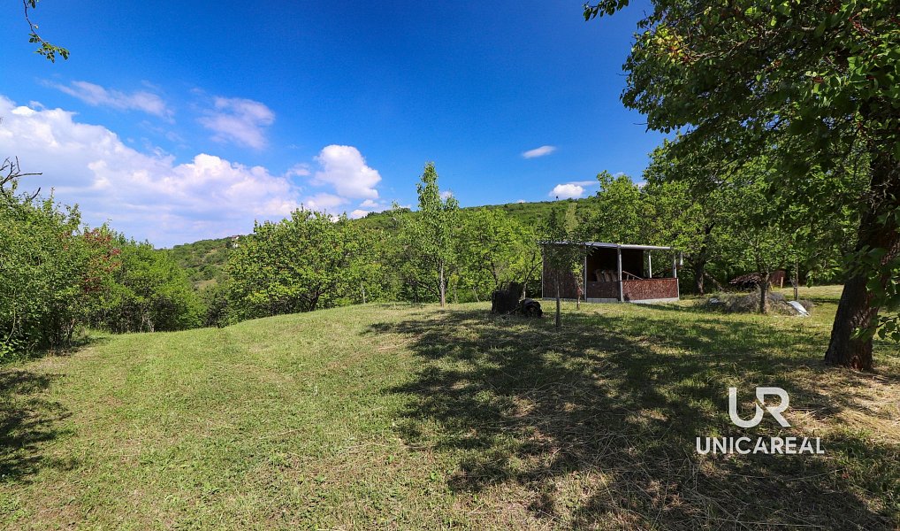 Prodej pole 3 851 m², Židlochovice – náhled fotky 11
