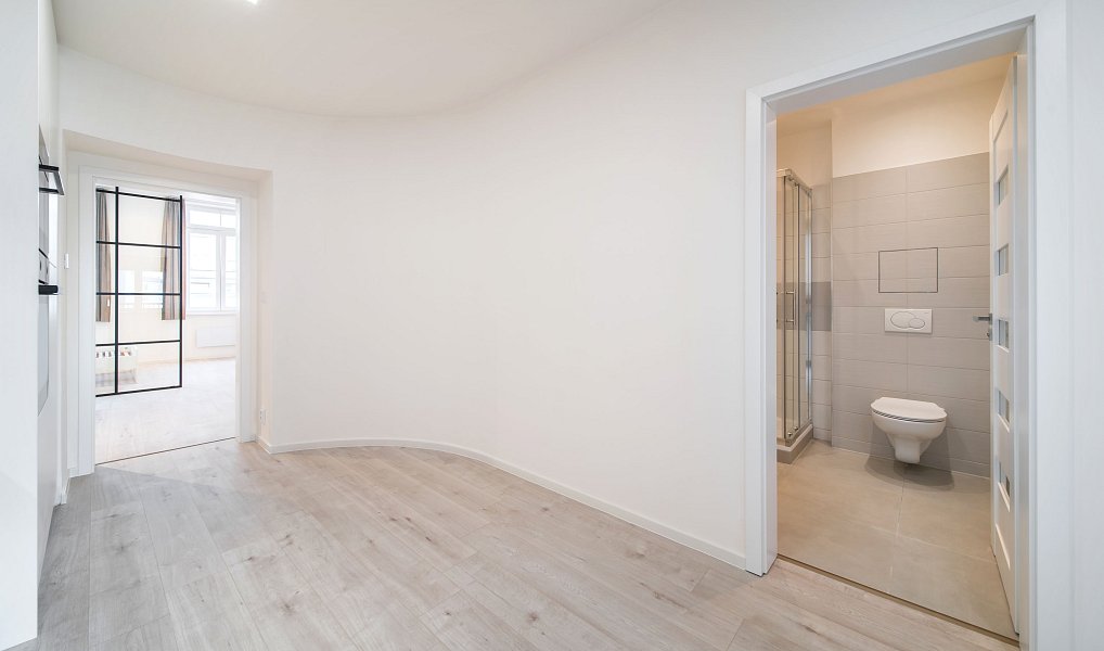 Prodej bytu 1+1 50 m², Brno – náhled fotky 6