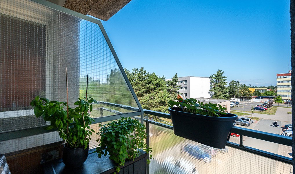 Prodej bytu 3+kk 74 m², Hradec Králové – náhled fotky 9