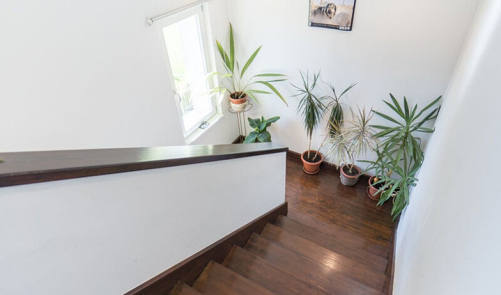 Prodej domu 240 m² s pozemkem 1 897 m², Podlesí – náhled fotky 22