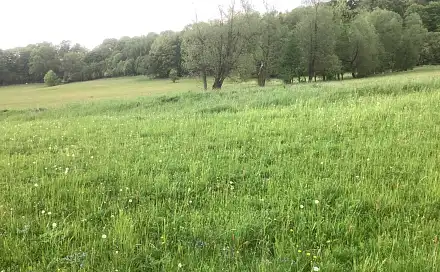 Prodej pozemku 85 000 m², Benecko