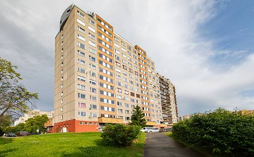 Prodej bytu 6+kk 376 m², Dunická, Praha 4 - Záběhlice