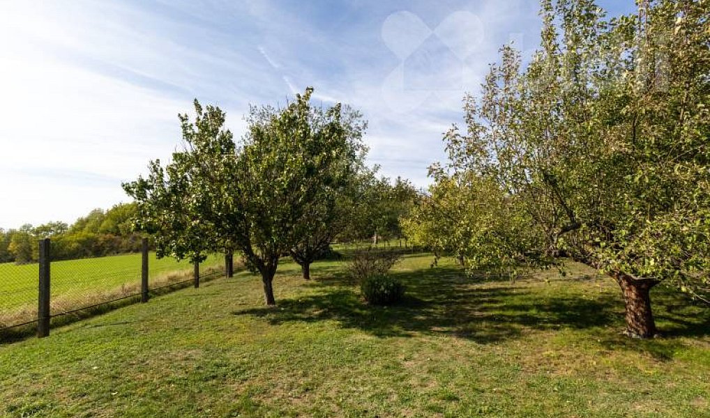 Prodej domu 220 m² s pozemkem 1 700 m², Oslavany – náhled fotky 26