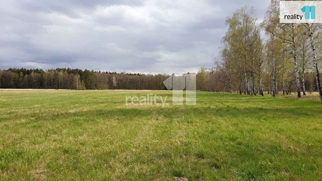 Prodej pole 33 989 m² — photo 4