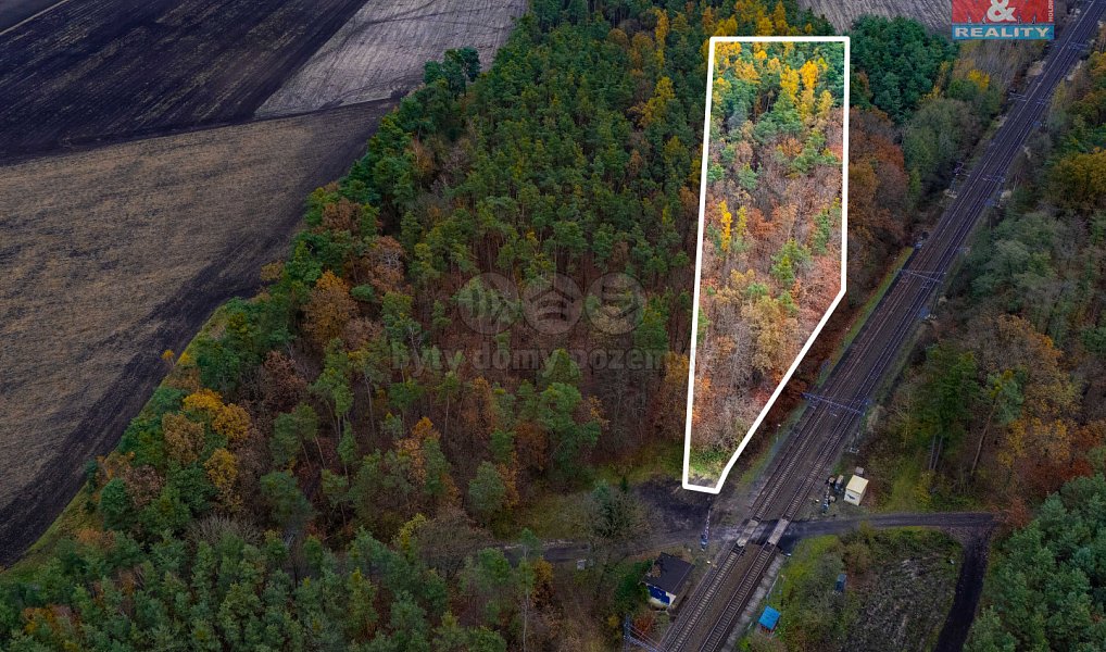 Prodej lesa 6 436 m², Lysá nad Labem – náhled fotky 6
