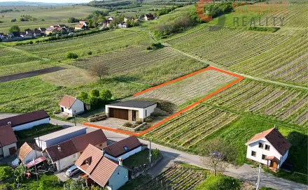 Ostatní