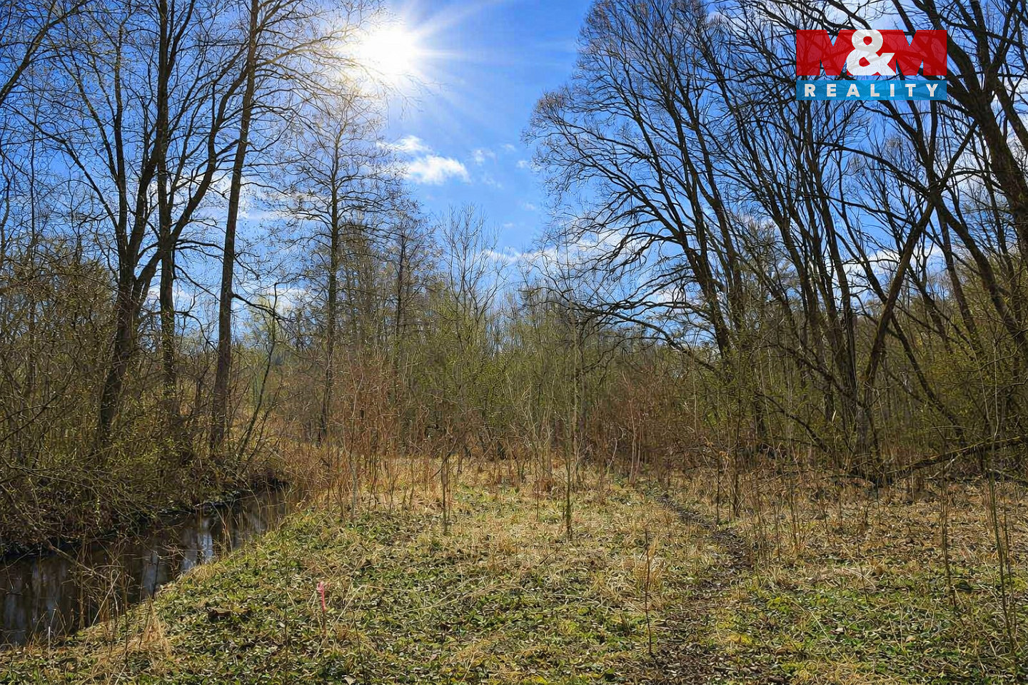 Prodej lesa 2 037 m² — photo 3