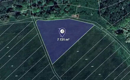 Prodej pole 2 574 m², Velké Němčice, okres Břeclav
