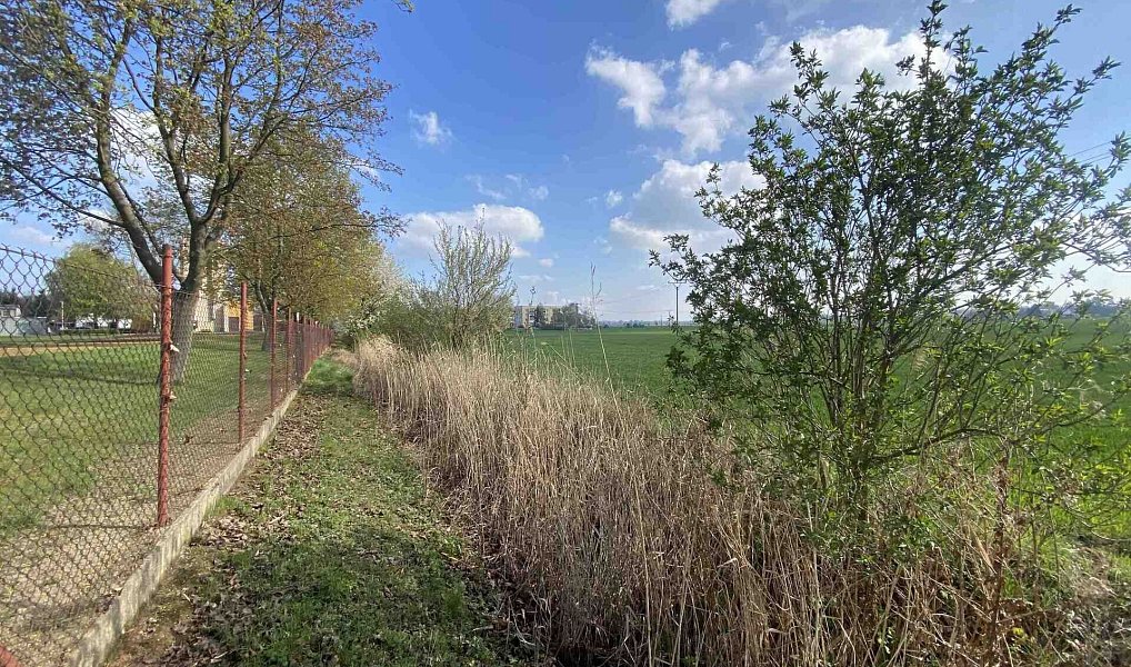 Prodej pozemku 3 560 m², Černčice – náhled fotky 2