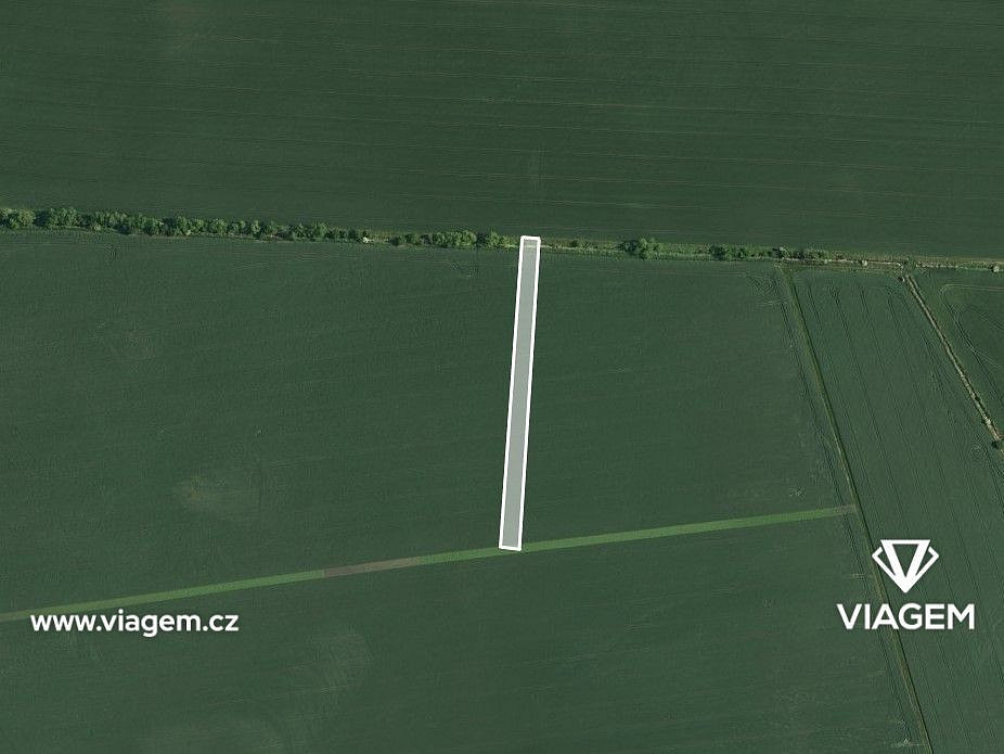 Prodej pole 648 m² – fotografie 2