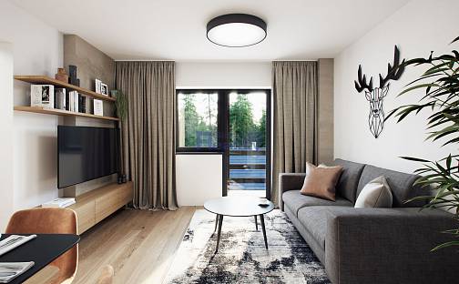 Prodej bytu 2+kk 65 m², Svratouch, okres Chrudim