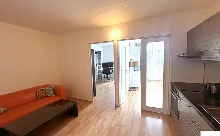 Pronájem bytu 2+1 42 m²