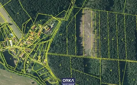 Prodej lesa 5 078 m², Budětsko, okres Prostějov
