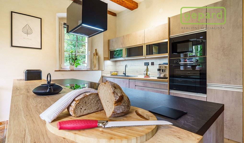 Prodej domu 295 m² s pozemkem 9 233 m², Hazlov – náhled fotky 2