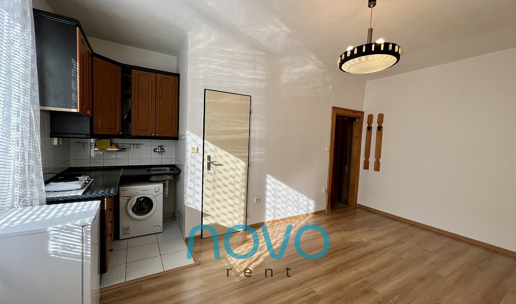 Pronájem bytu 1+kk 21 m², Praha – náhled fotky 4