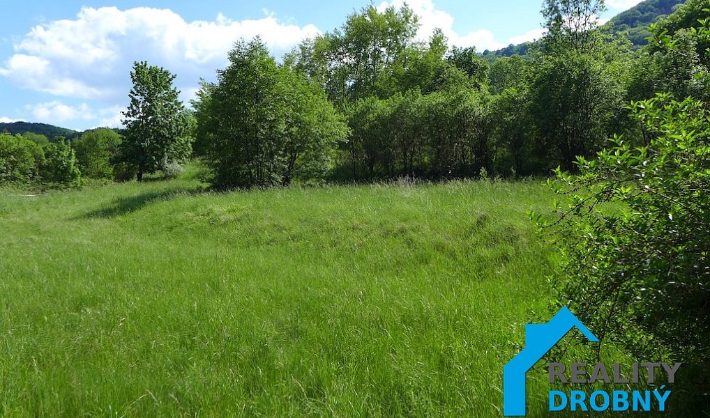 Pronájem zahrady 3 534 m², Malá Veleň – náhled fotky 9