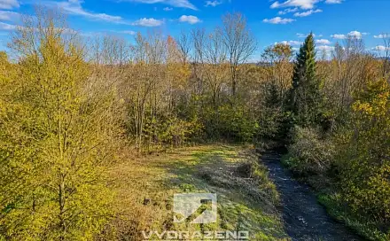 Prodej pole 3 139 m², Český Dub, okres Liberec