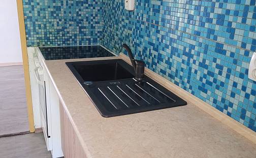 Pronájem bytu 2+kk 42 m², Sídliště Za Chlumem, Bílina - Teplické Předměstí, okres Teplice