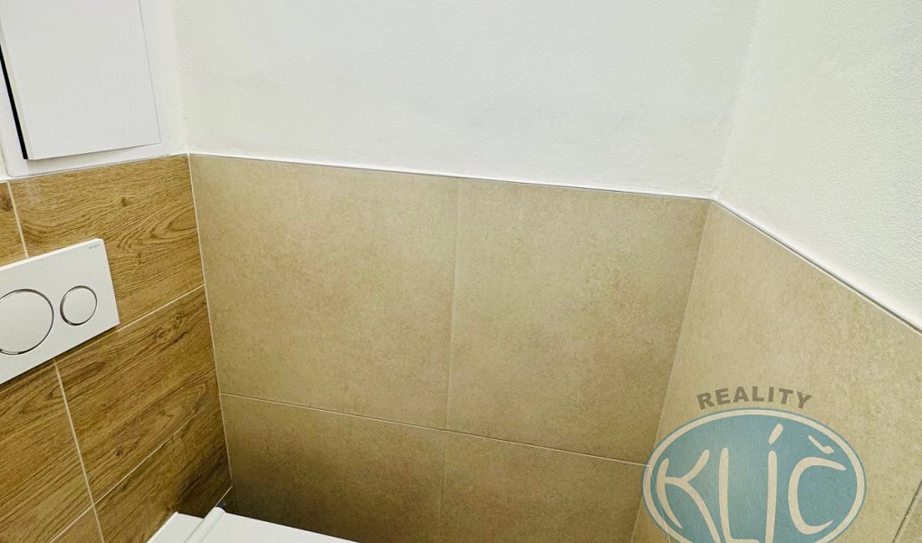 Pronájem bytu 2+1 64 m², Tábor – náhled fotky 7