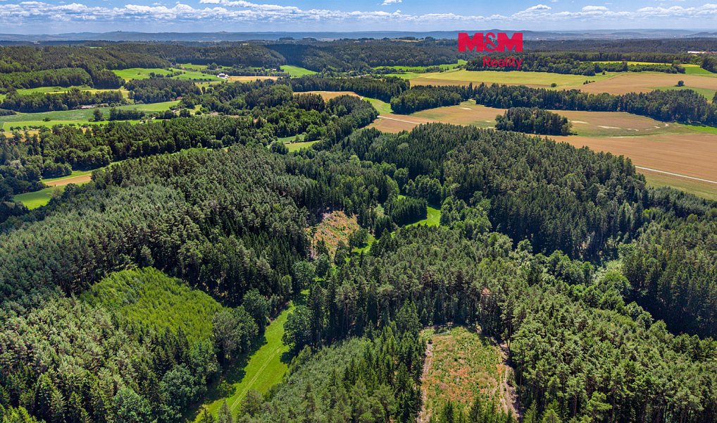 Prodej lesa 22 447 m², Bílá – náhled fotky 4