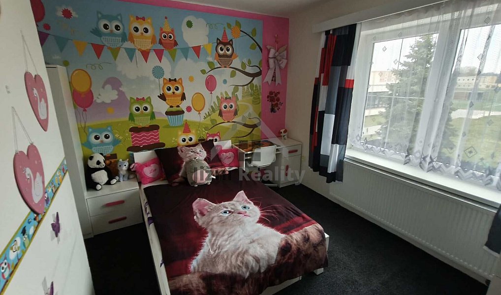 Prodej nájemního domu, činžáku 450 m², České Velenice – náhled fotky 19
