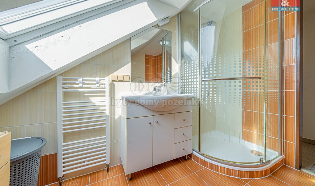 Prodej obchodních prostor 450 m², Moravský Beroun – náhled fotky 21
