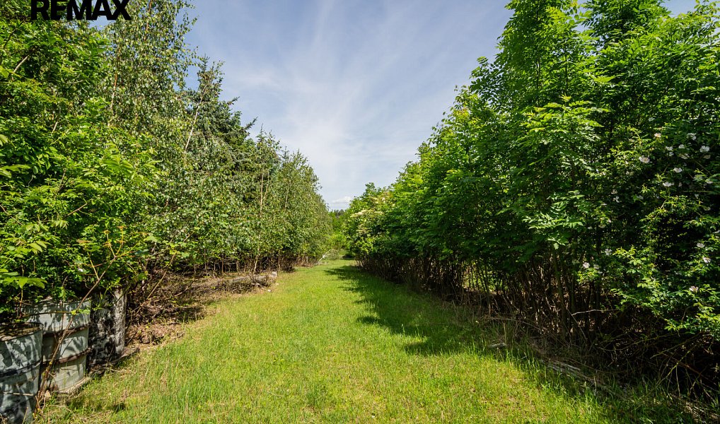 Prodej stavebního pozemku 9 806 m², Buštěhrad – náhled fotky 9