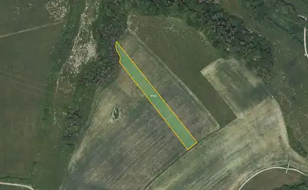 Prodej pole 5 768 m², Březová, okres Beroun