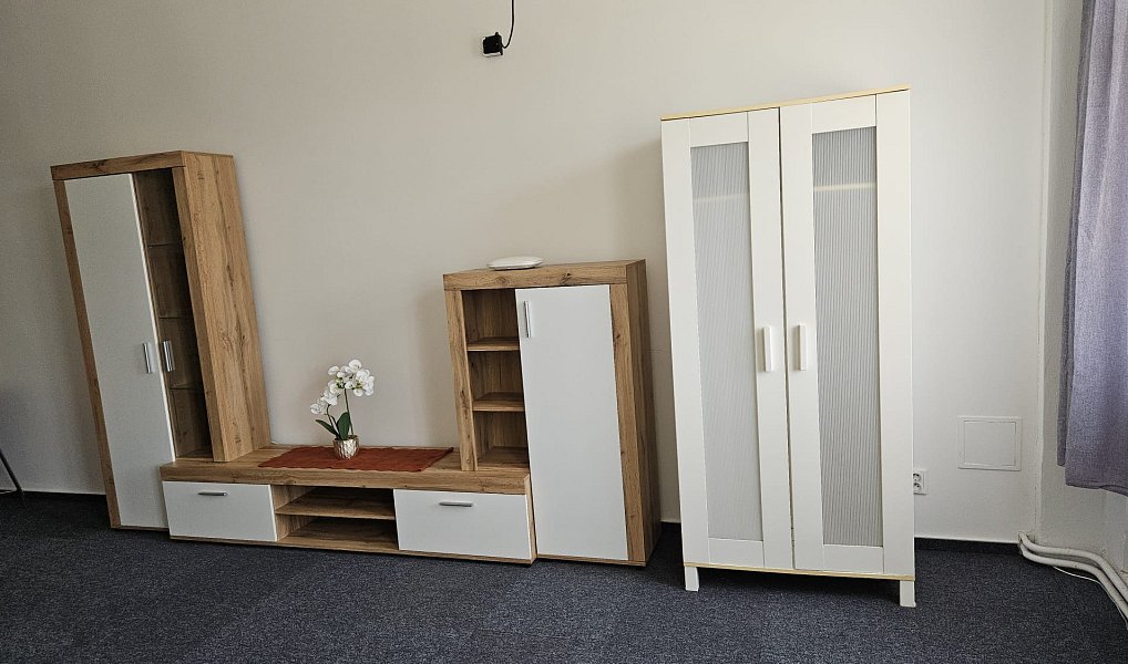 Pronájem bytu 1+kk 60 m², Hranice – náhled fotky 5