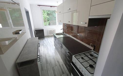 Pronájem bytu 3+1 63 m², Pionýrů, Jirkov, okres Chomutov